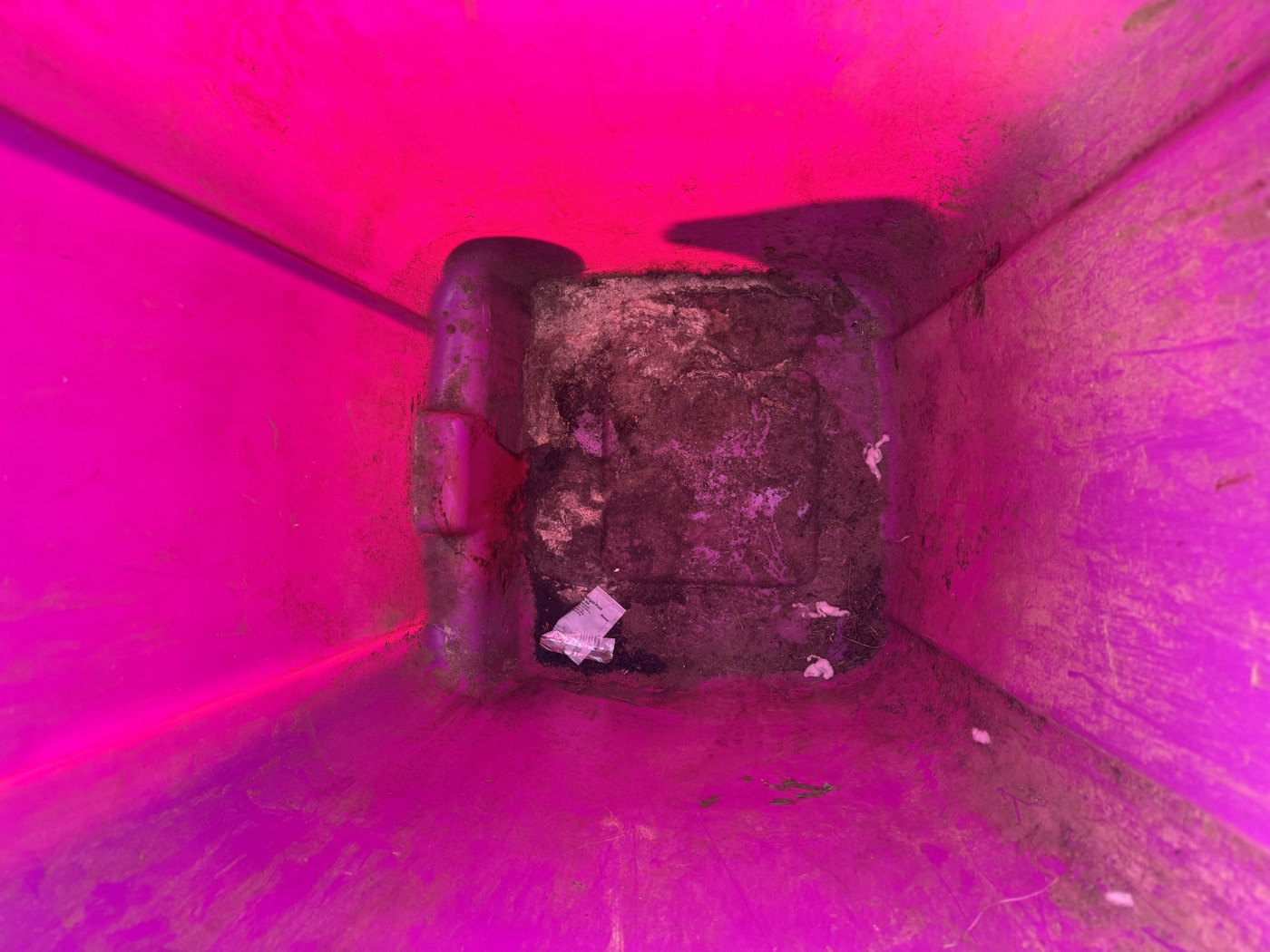 Dirty pink bin interior before cleaning