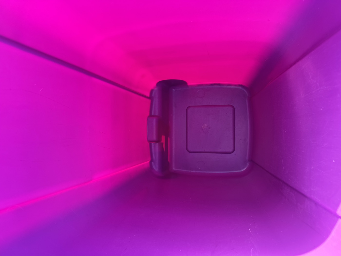 Clean pink bin interior after professional cleaning
