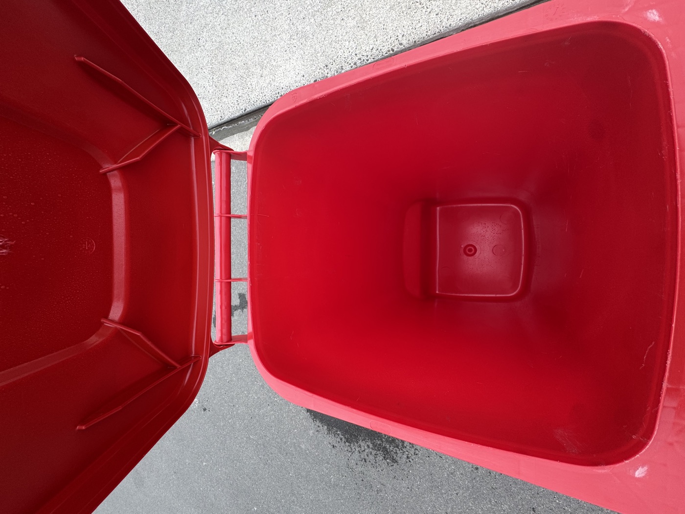 Clean red bin interior after professional cleaning